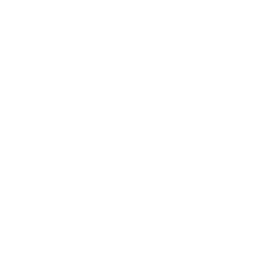 Light mode