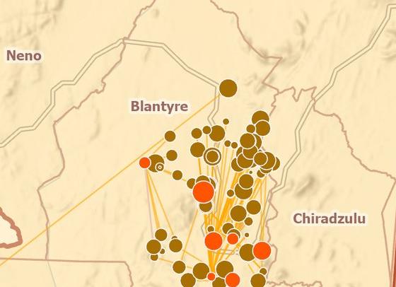 Zoomed detail of the Displacement Flow map around Blantyre, showing dense convergence of destination points and flow lines